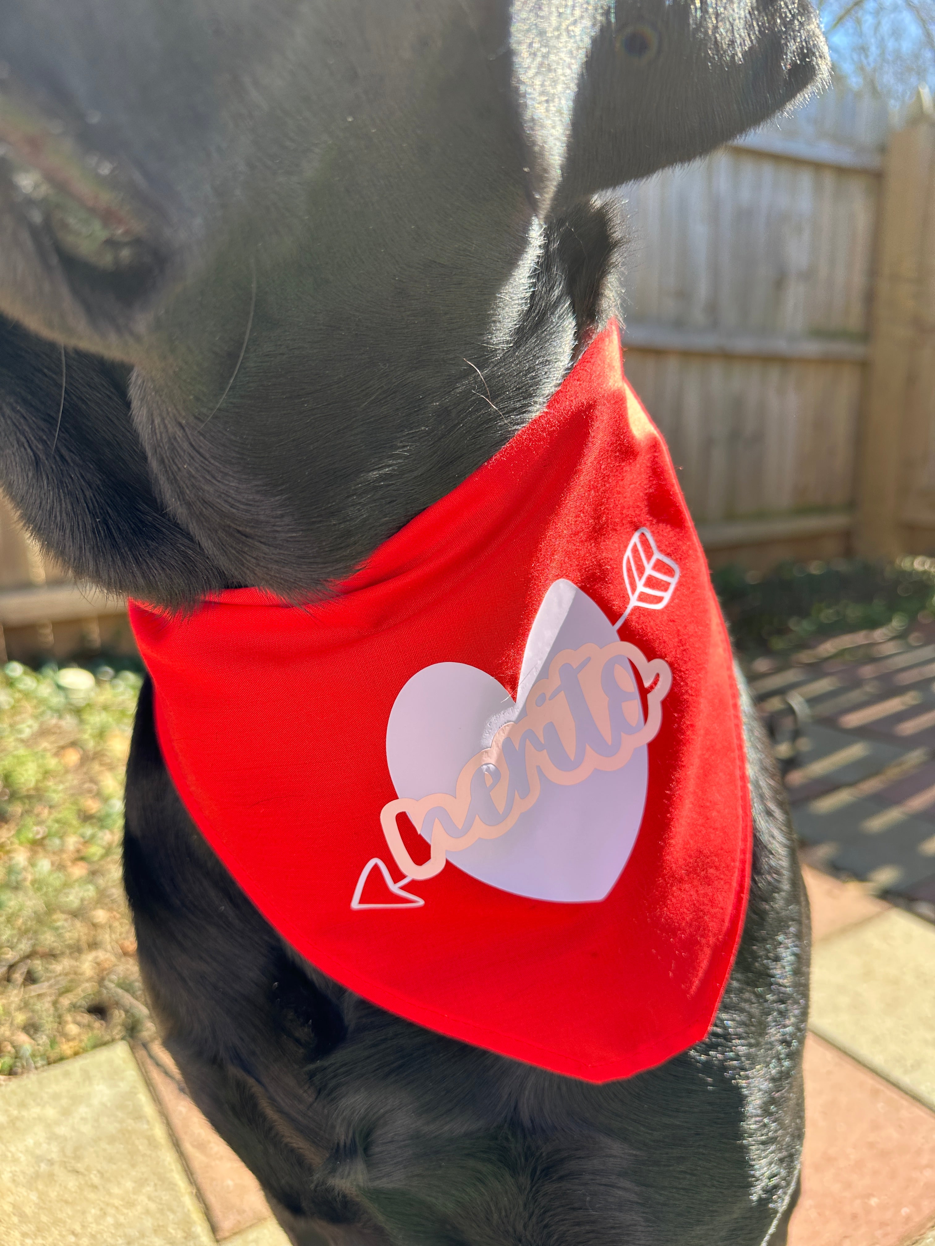 Valentines pet red bandana with lilac heart and pet’s name, custom dog lover heart triangular tie on pet scarf, red cat bandana, new puppy