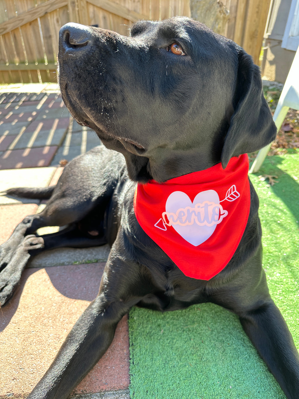 Valentines pet red bandana with lilac heart and pet’s name, custom dog lover heart triangular tie on pet scarf, red cat bandana, new puppy