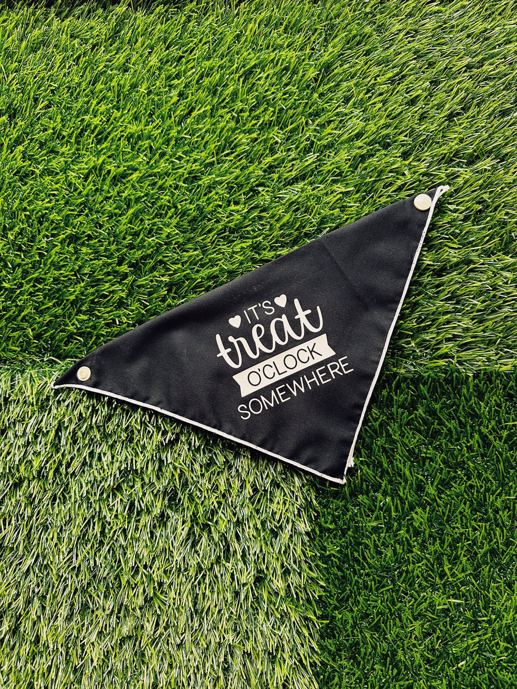 Its treat o'oclock somewhere dog bandana tie on, snap on