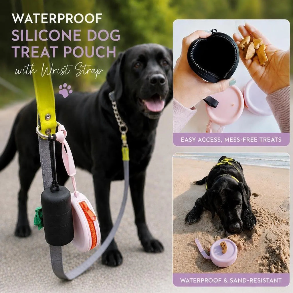 Silicone Dog Treat Pouch – Waterproof Training & Walking Treat Bag
