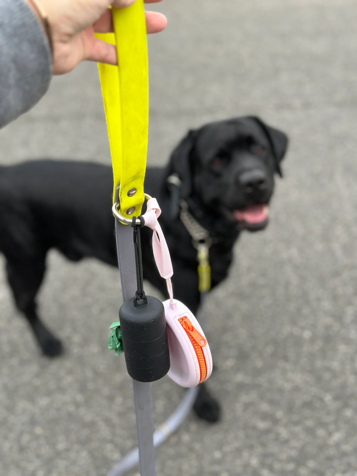 Silicone Dog Treat Pouch – Waterproof Training & Walking Treat Bag