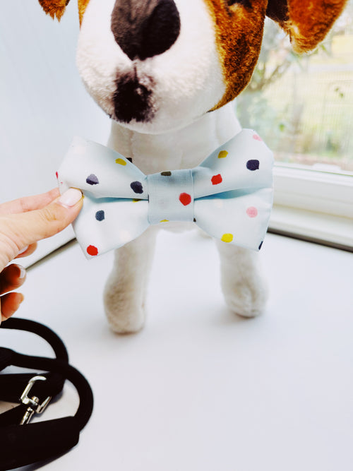 birthday pet bow tie adjustable , confetti attachable slide on bowtie for cats and dogs