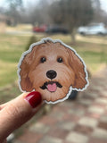 waterproof golden doodle sticker