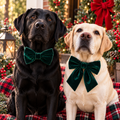 Green crushed velvet sailor bow , attachable dark red sailor bow for dog