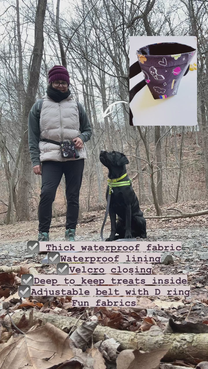 galaxy funky treat pouch holder, bag for obedience school with adjustable belt and velcro to open and close. treat pack, dog lover gifts