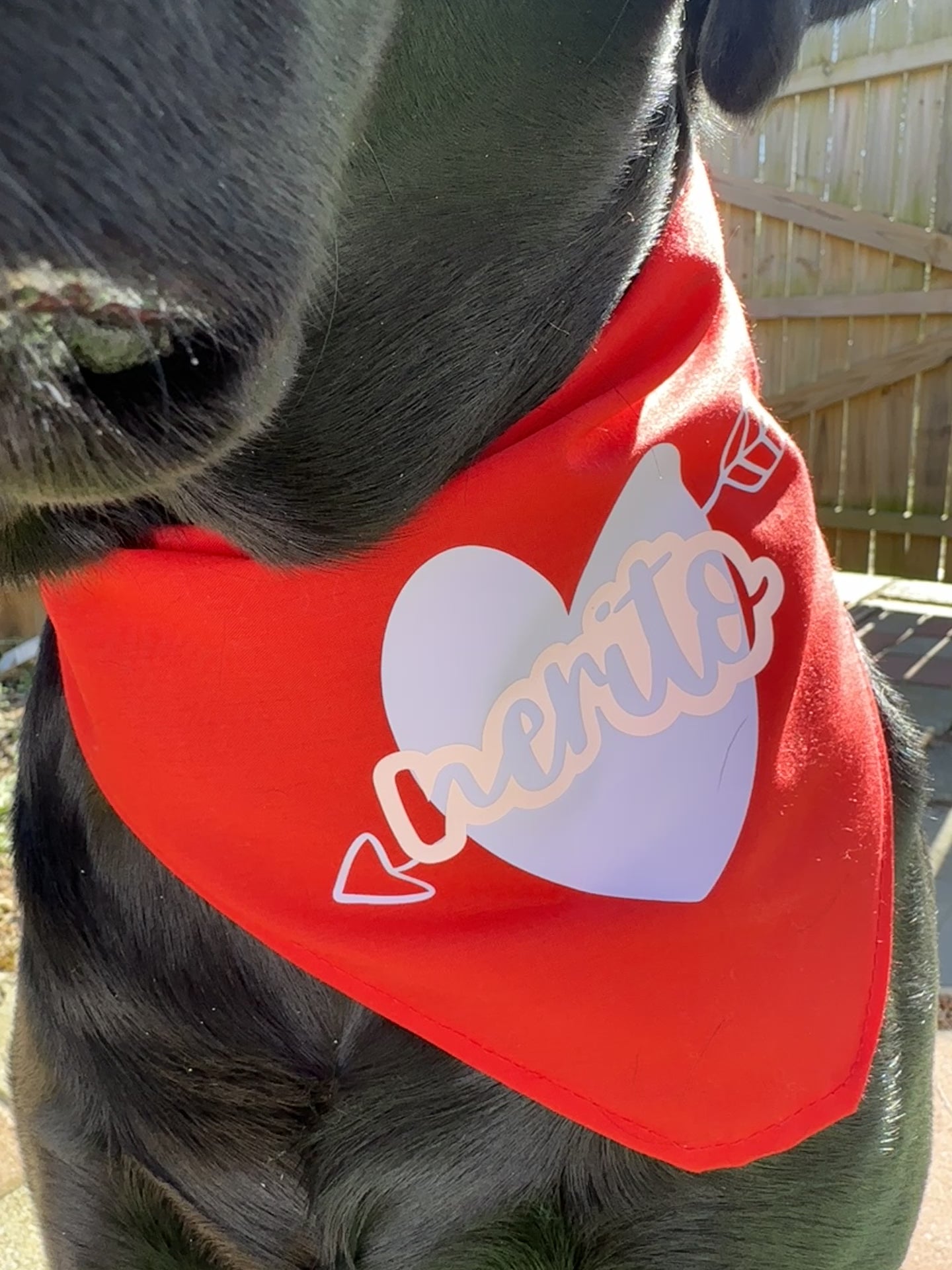 Valentines pet red bandana with lilac heart and pet’s name, custom dog lover heart triangular tie on pet scarf, red cat bandana, new puppy
