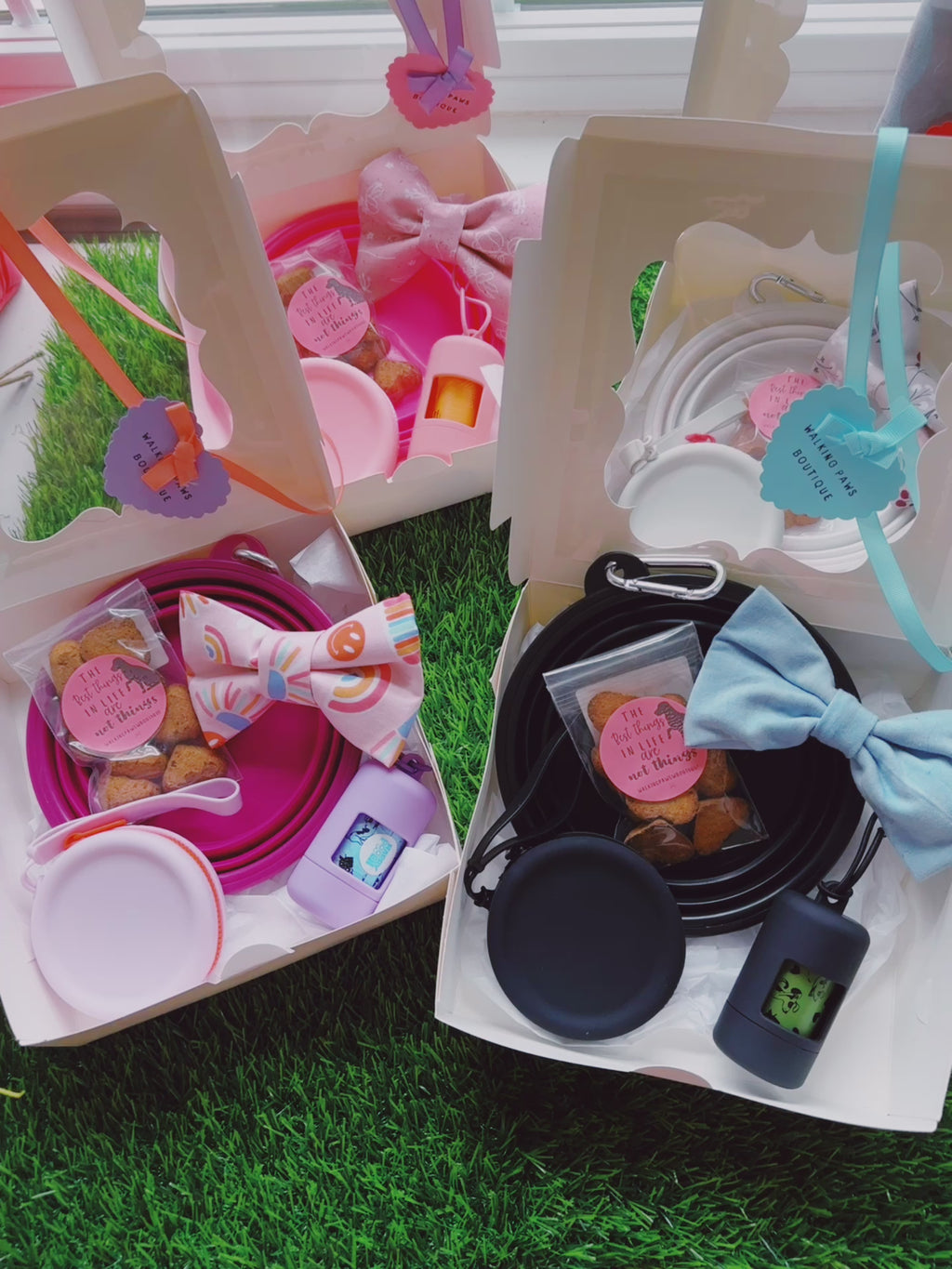 Dog lover essential gift box