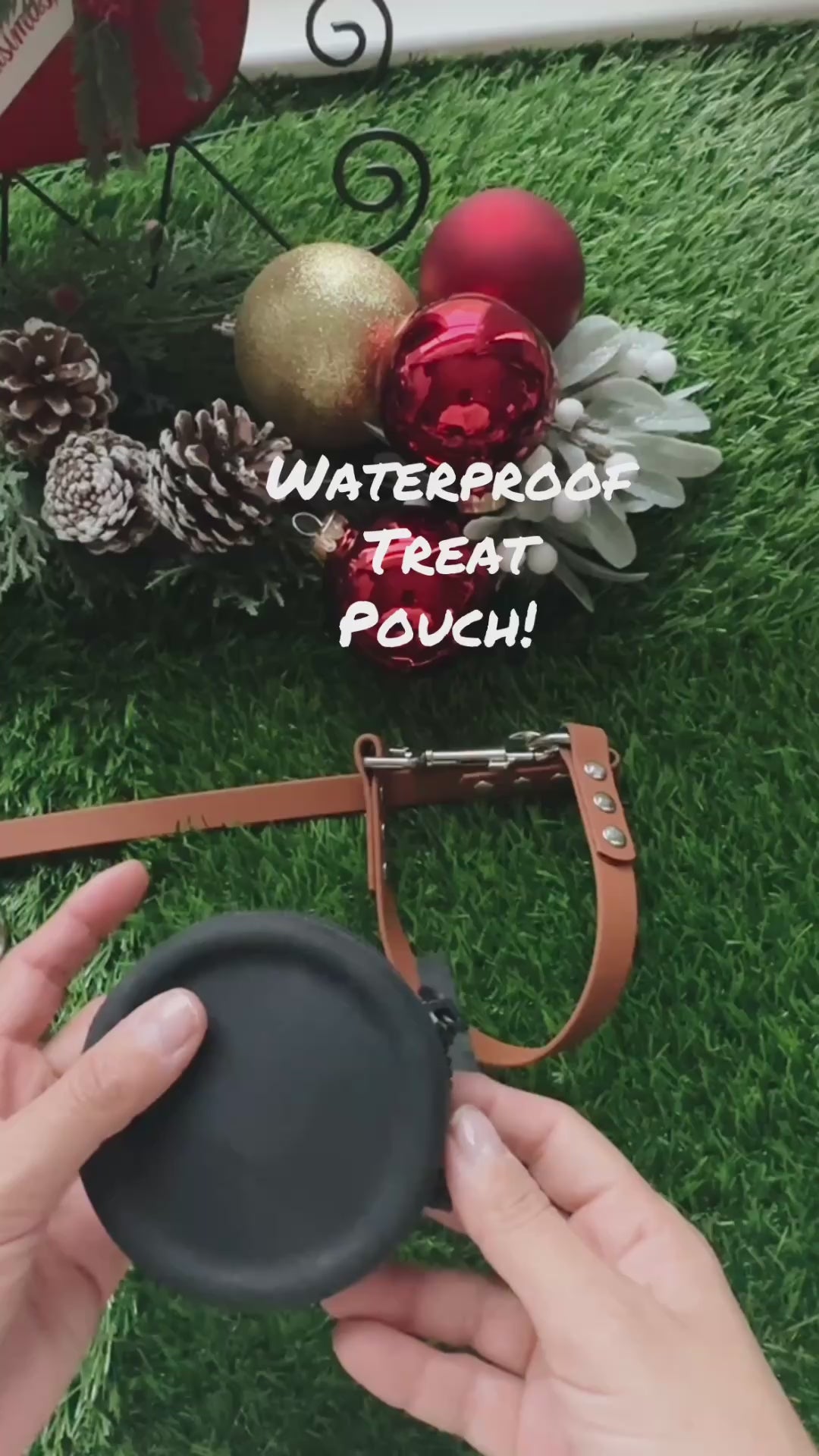 Silicone Dog Treat Pouch – Waterproof Training & Walking Treat Bag