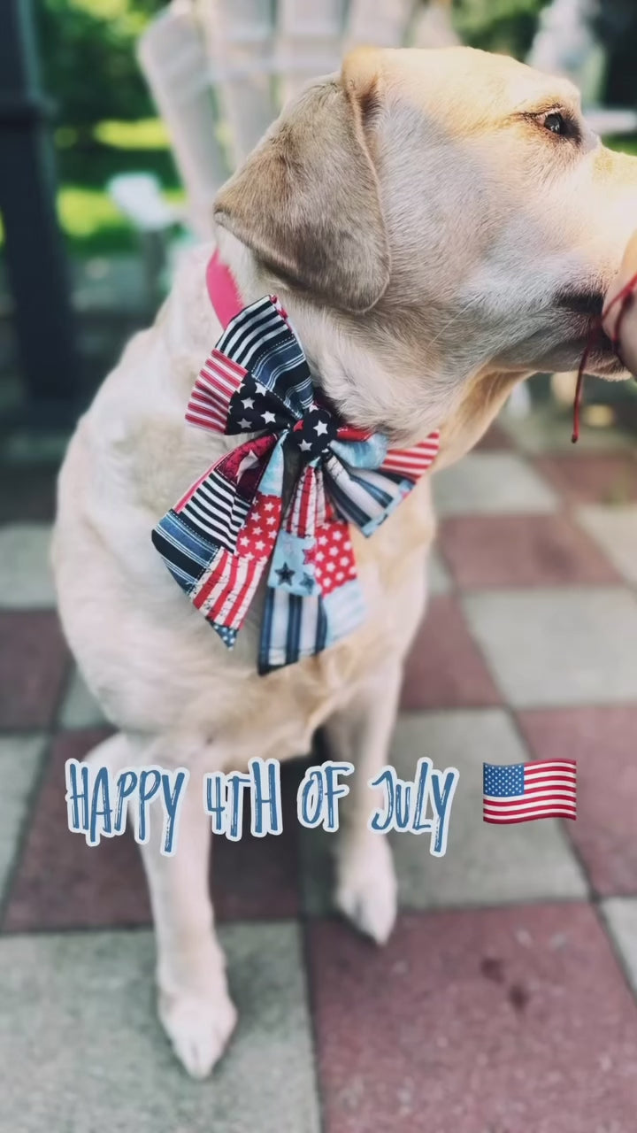 Fourth of July sailor bow and bowtie for dogs