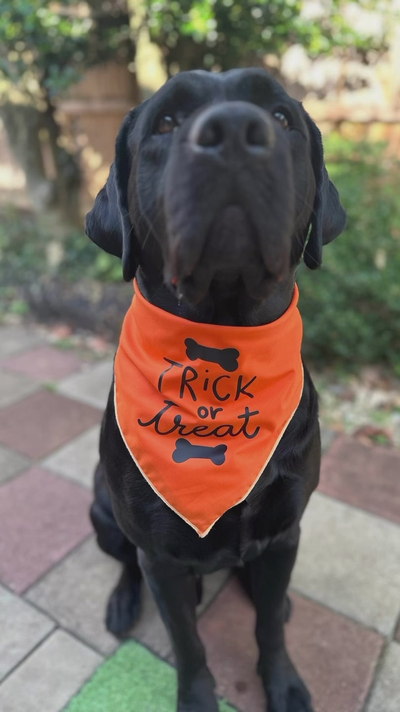 Trick or treat orange dog bandana