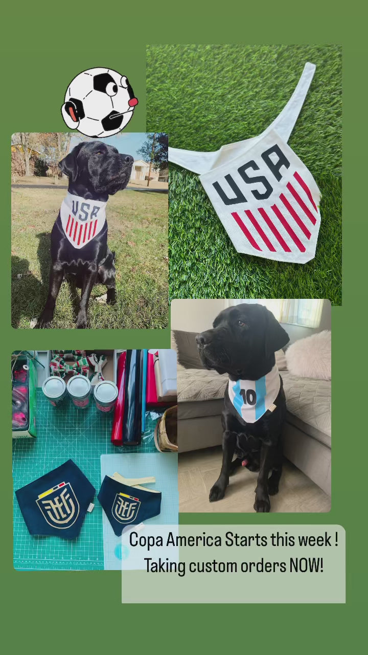 Custom Bandana, World cup, Copa America, Olympics dog bandana,