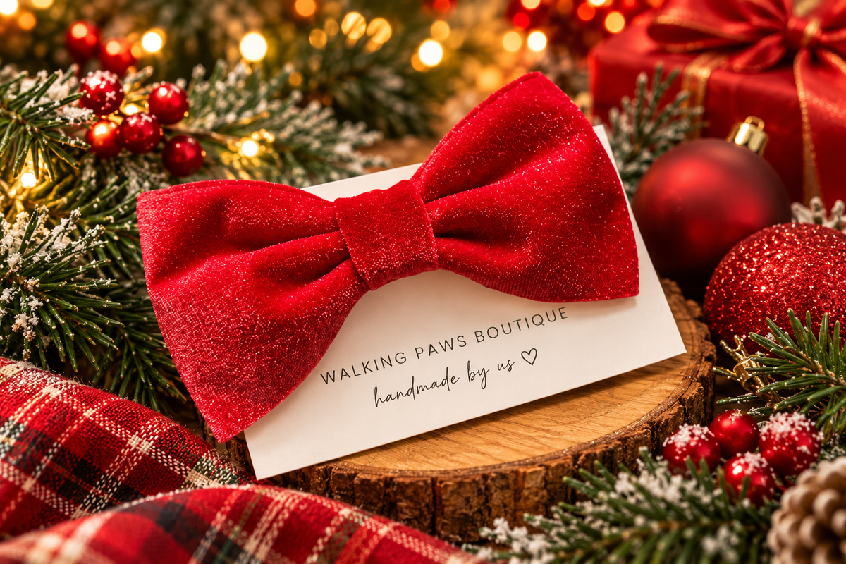 Red Velvet Sailor Bow – Detachable Holiday Collar Bow