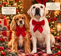 Red velvet  bowtie with adjustable velcro. Attach to dog's collar. Holiday gift for any dog