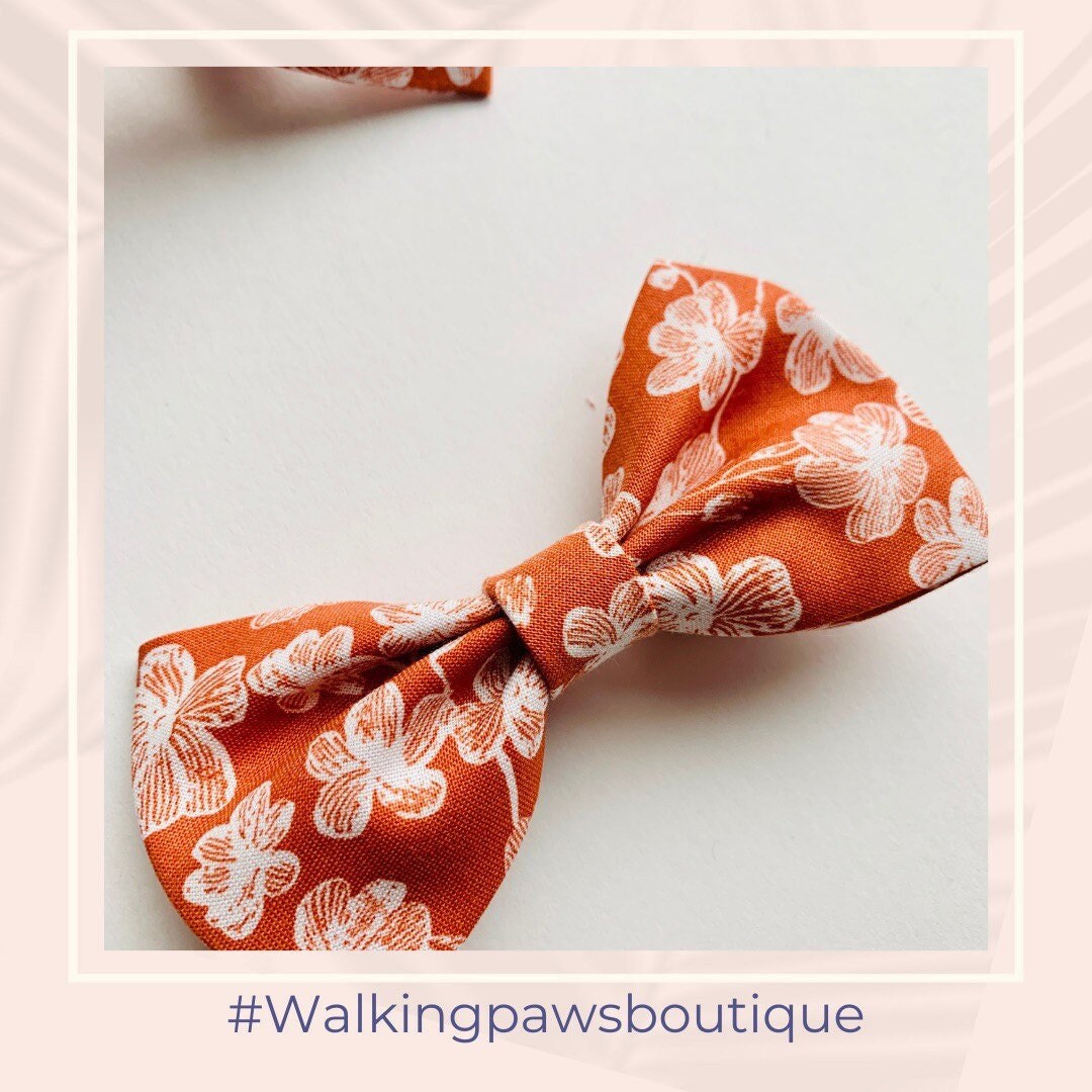 WalkingPawsBoutique