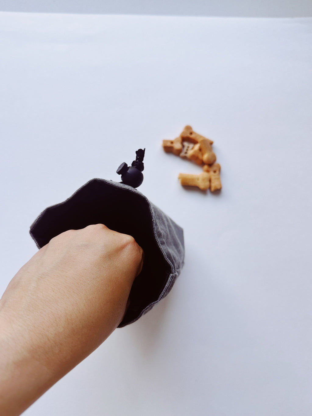 black dog training pouch, dog walking treat holder, waist belt bag for puppy training, accessories for new puppy, adjustable k9 canine pouch