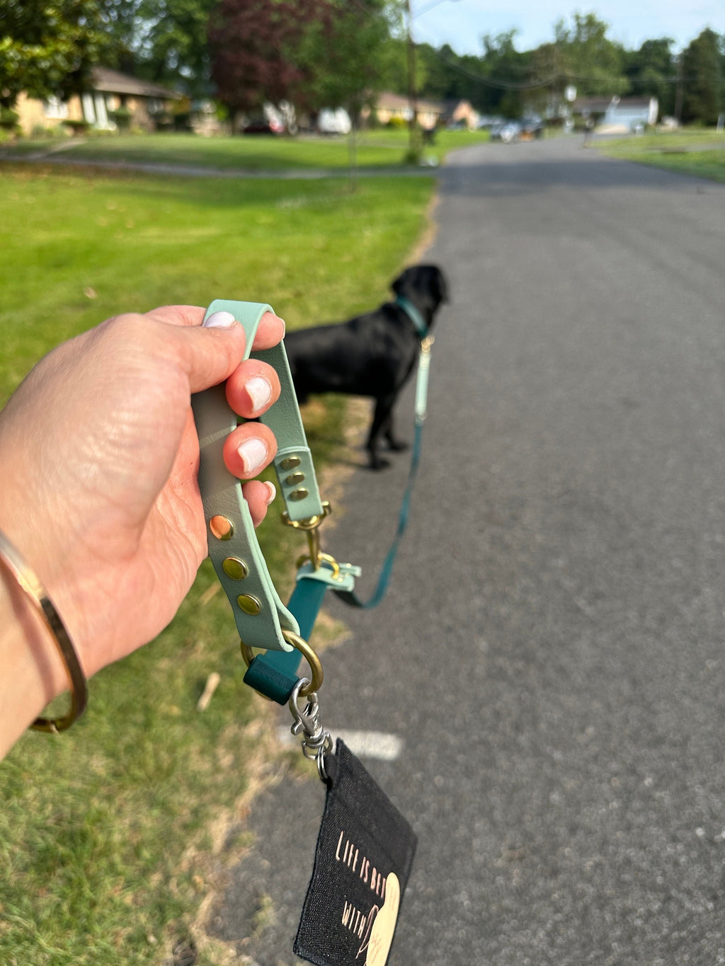 mini treat pouch hook in keys,  purse, or leasb , waterproof treat holder pouch, pocket size bag with swivel, dog essentials, present, gift