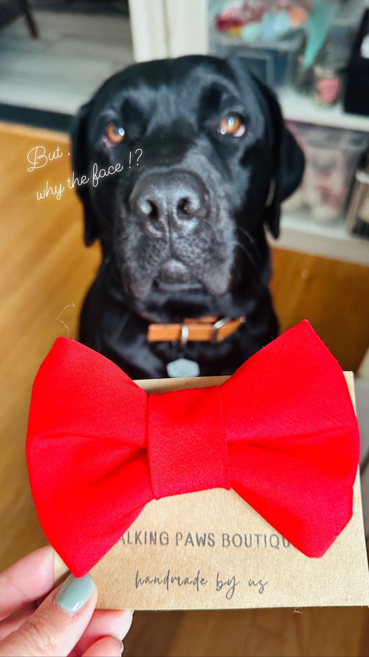 Oversized red bow tie for dog, new dog accessories bright red firm bow tie, over collar red puppy bow ties, large bowtie, gift for new owner