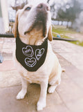 stylish anti-valentine pet bandana, perfect for both cats and dogs. meh, nope, go away lavender iron-on over black. Tie on triangular bandan